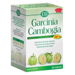 Garcinia Cambogia