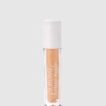 PuroBio Sublime Luminous Concealer